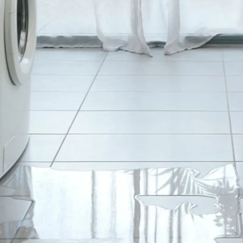 Appliance Leak Cleanup in Winfield, MO