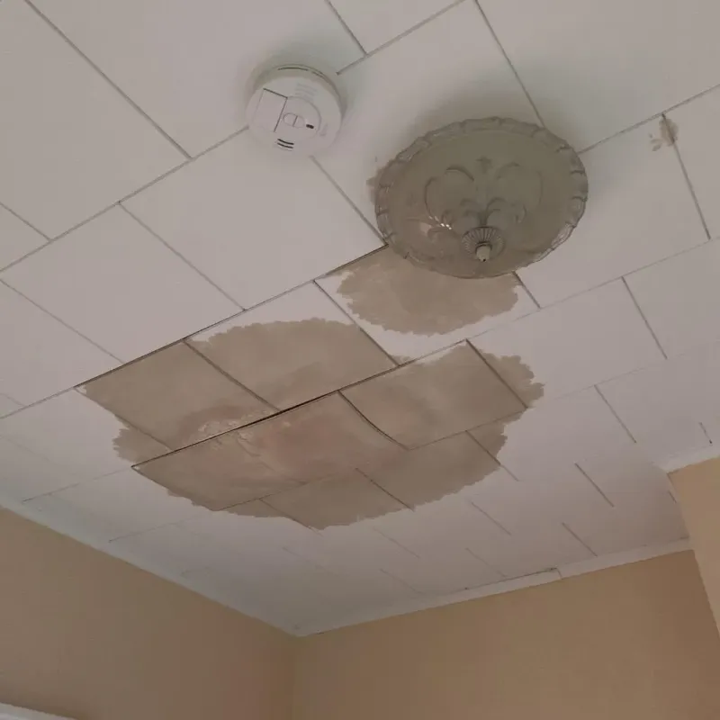 Ceiling Water Damage Repair in Winfield, MO