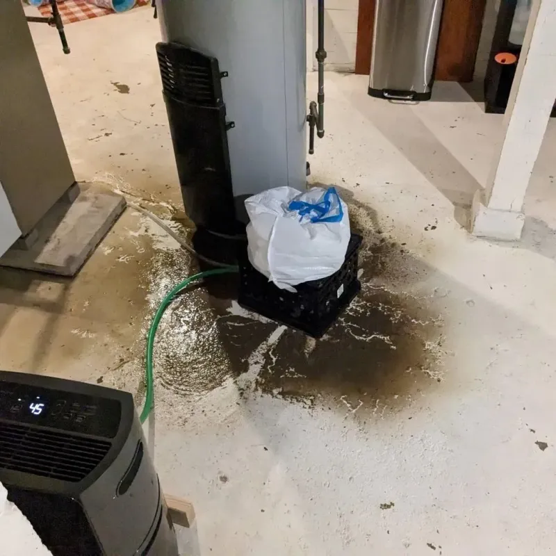 Sewage Backup Cleanup Service in Winfield, MO